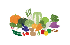 野菜の分量や旬、含まれる栄養素